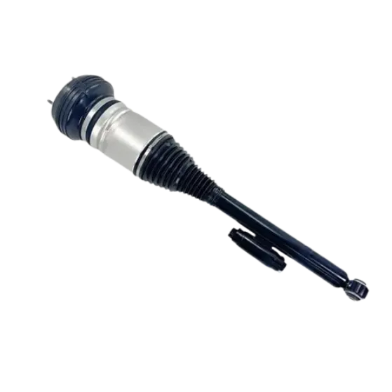 AIR SPRING STRUT